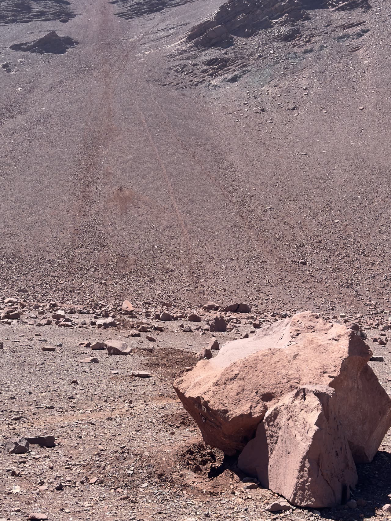 Dry gravelly slope with brush