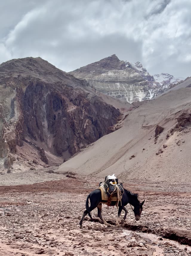 Climbing helmet and backpack on rock overlooking mountain wall