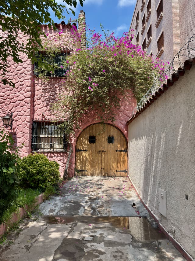 Stone arch and wooden door in sun-drenched courtyard