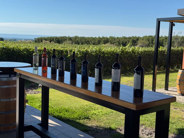 Wine bottles on outdoor bar overlooking grapevines