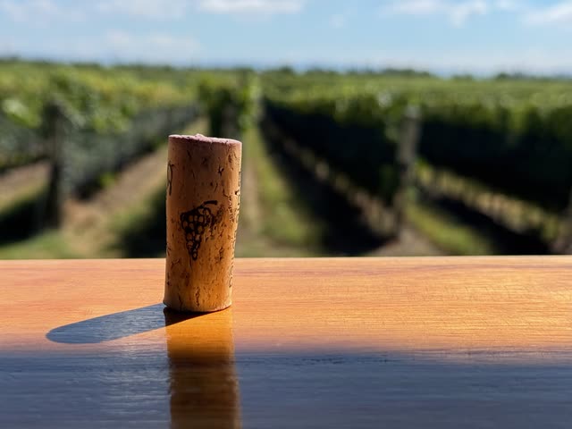 Wine cork standing on wooden table