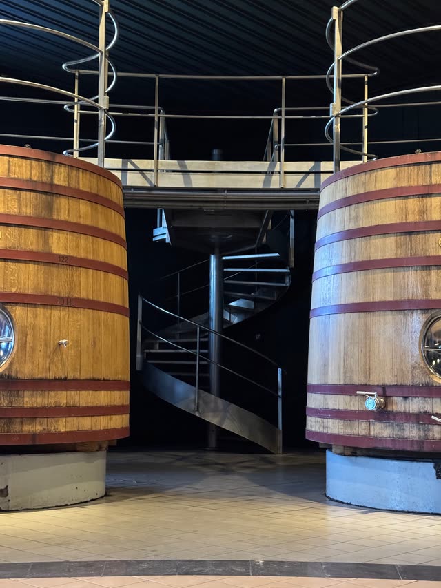 Large wooden wine fermentation vats