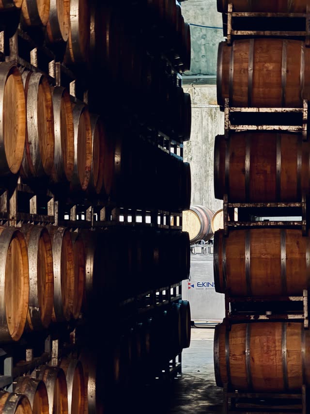 Rows of stacked oak barrels in dim cellar
