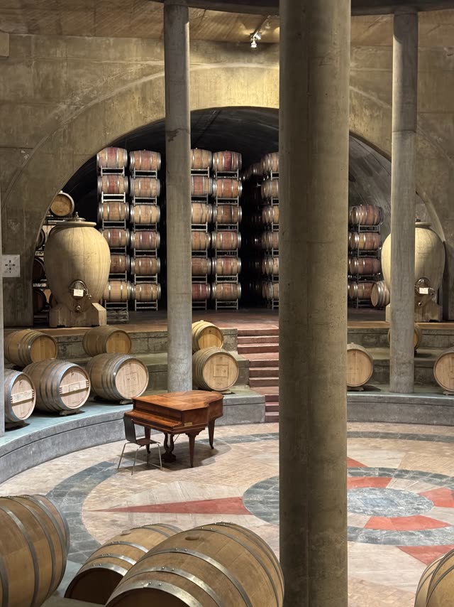 Arched underground wine cellar