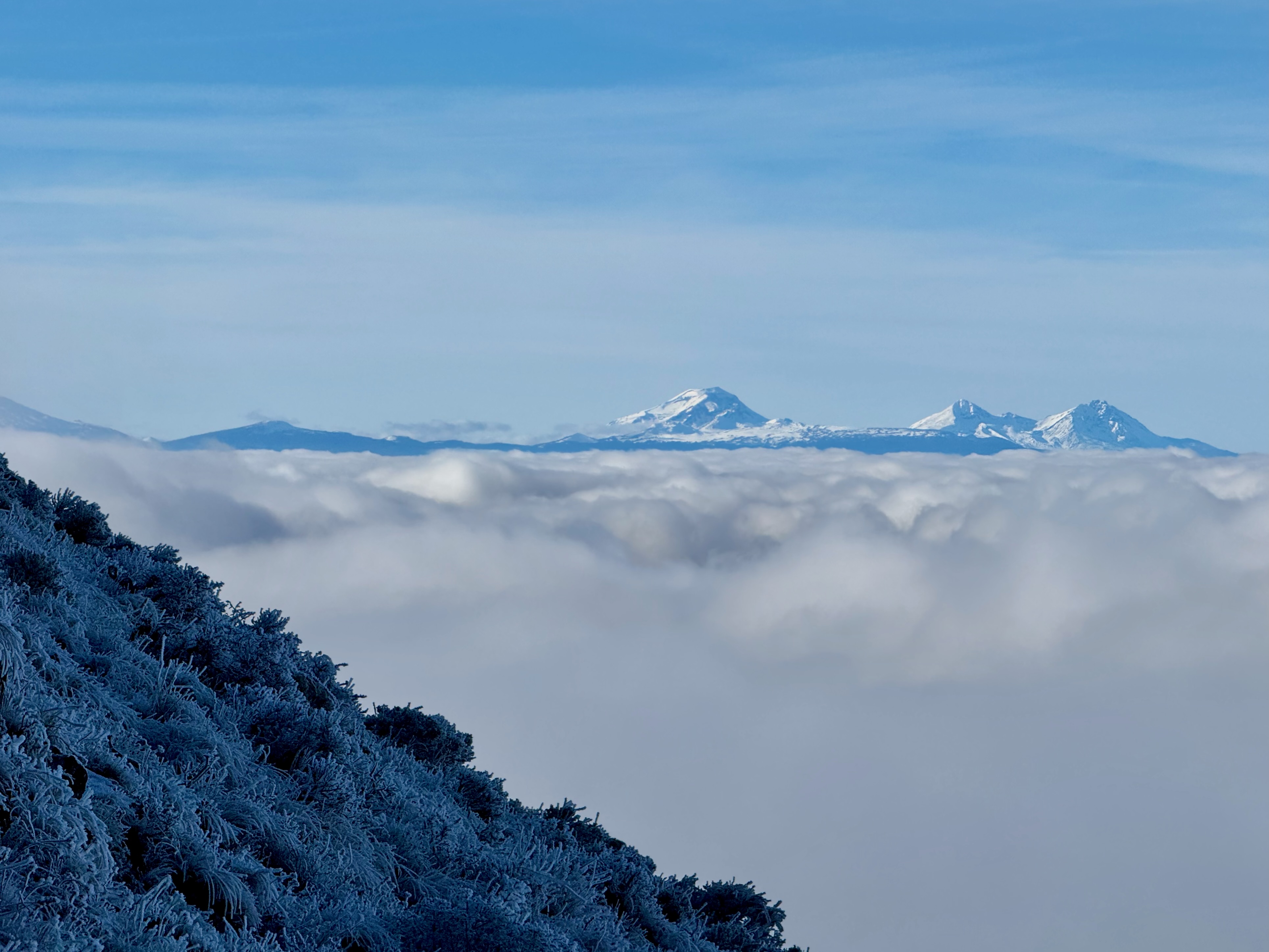 Cascade peaks rising above a cloud sea
