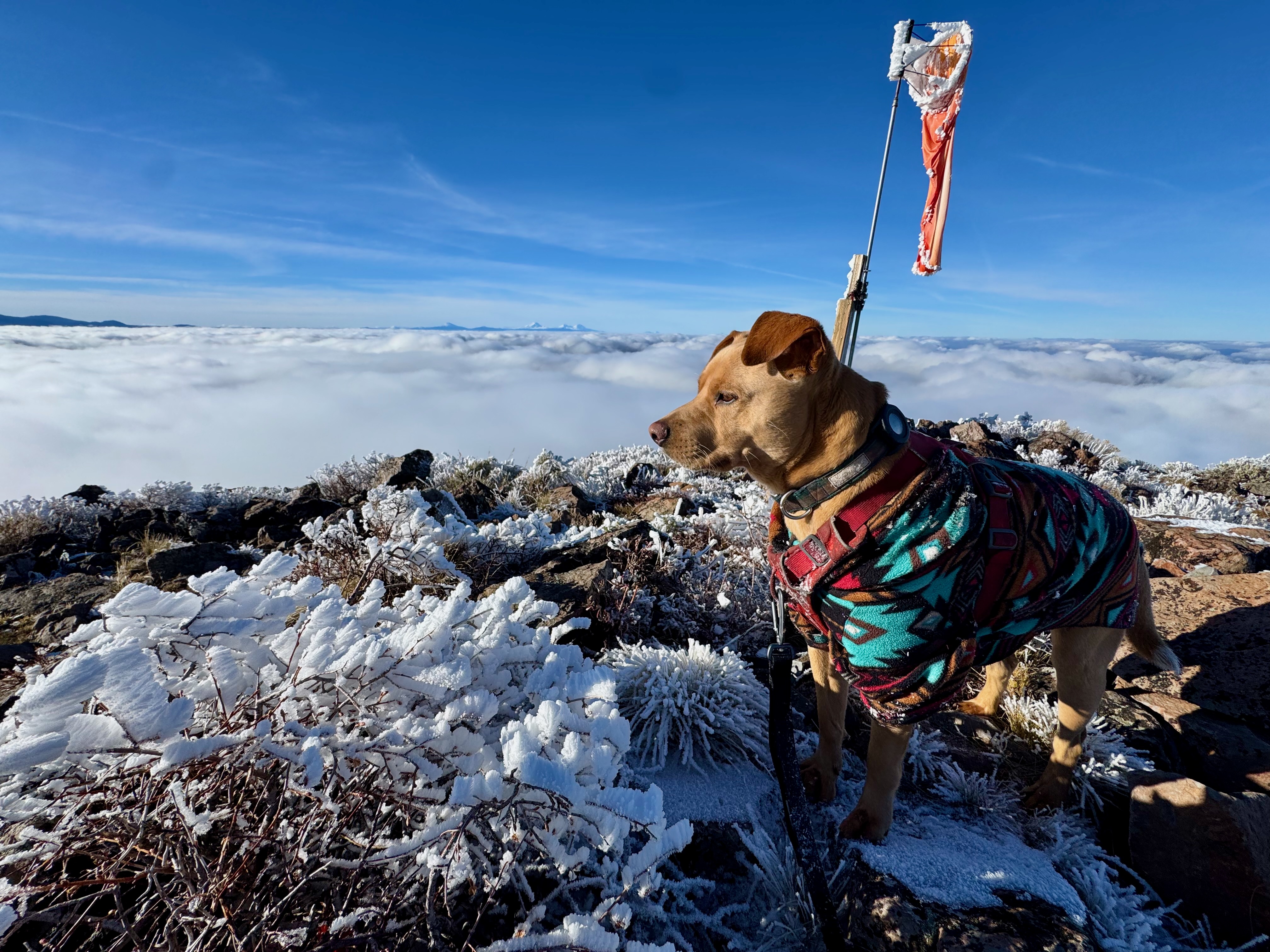 Summit view above the clouds