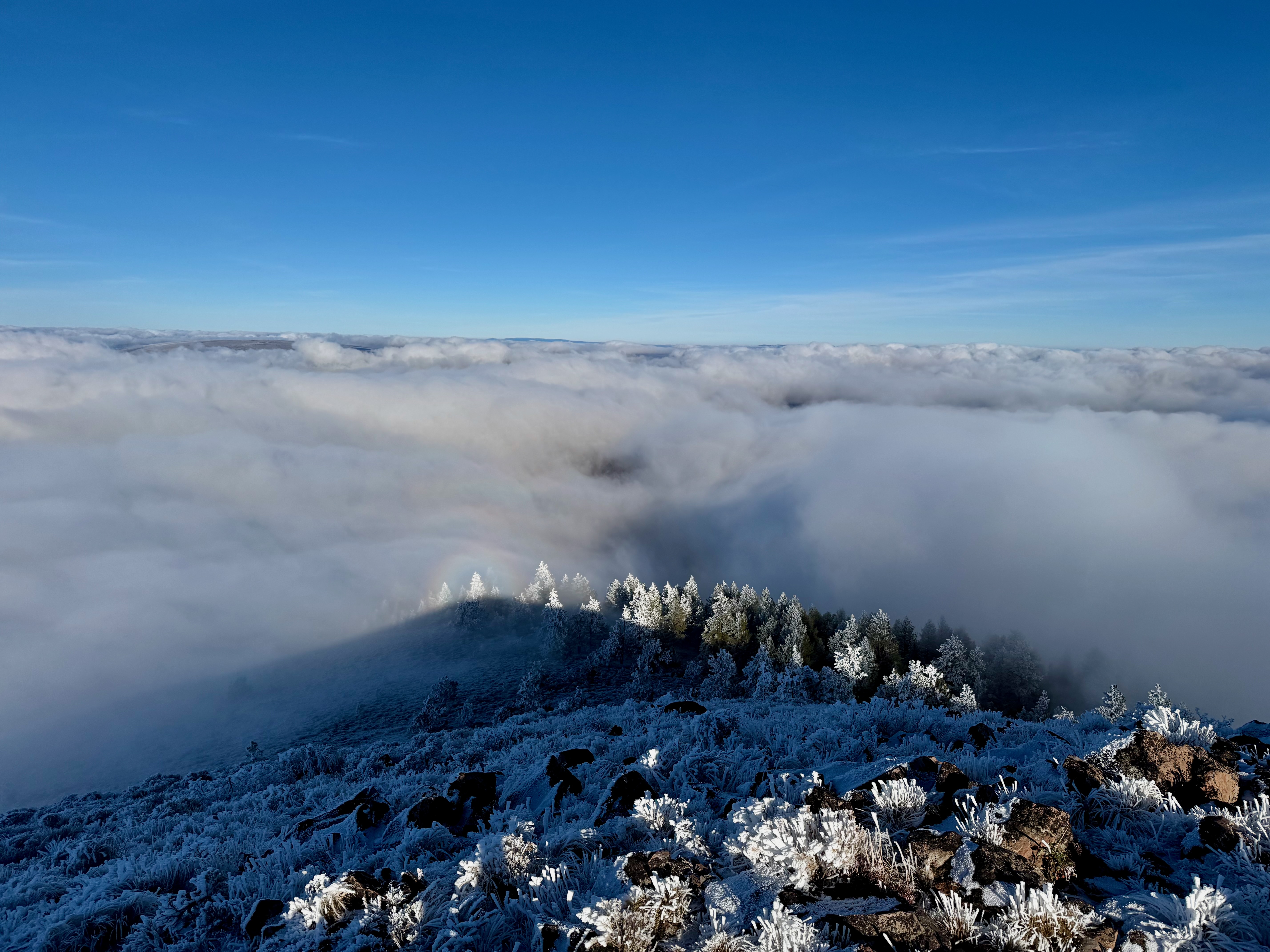 Frosted ridge dropping into clouds